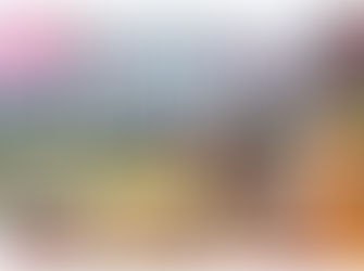 Shimoichi Town & Kurotaki village