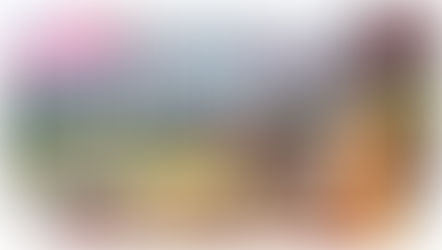 Shimoichi Town & Kurotaki village