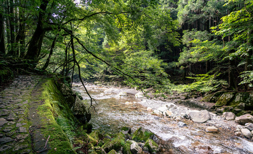 Kajika Waterfall, gorogoro mizu, tenkawa village, dorogawa onsen