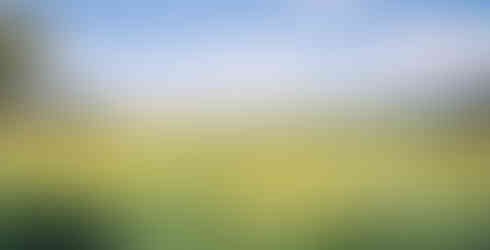 Yellow Cosmos, Fujiwara-kyo, Iris, Summer flowers, Lotus, Nara top tourist attractions, Things to do and see in Nara Japan, things to do around Nara Japan, things to do at Nara park, things to do in Nara for the first time, things to do in Nara in 1 day, things to do in Nara Japan guide, where is Nara Japan, Nara city in Japan, Nara backpackers, Nara hotels, how long to spend in Nara, Nara in Japan, Nara location, Nara Nara Japan, Nara map, best hotels in Nara, Nara Japan attractions, Nara Japan things to do, things to do in Nara winter, things to do in Nara with kids, things to do Nara Japan, top 10 tourist attractions in Nara Japan, top attractions in Nara Japan, top best things to see in Nara Japan, top ten things to do in Nara Japan, top things to see in Nara Japan, top tourist attractions in Nara Japan, tourism Nara Japan, tourist attractions in Nara Japan, travel to Nara Japan, unique things to do in Nara Japan, Nara tourism office, Nara city tourism, Nara Japan travel info, Nara Japan tourism, Nara Japan travel,