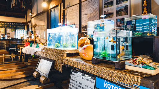 Hakomotokan konya, aizome, indigo dyeing, yamato koriyama, nara cultural experience, Experiences in Nara, Nara top tourist attractions, Things to do and see in Nara Japan, things to do around Nara Japan, things to do at Nara park, things to do in Nara for the first time, things to do in Nara in 1 day, things to do in Nara Japan guide, where is Nara Japan, Nara city in Japan, Nara backpackers, Nara hotels, how long to spend in Nara, Nara in Japan, Nara location, Nara Nara Japan, Nara map, best hotels in Nara, Nara Japan attractions, Nara Japan things to do, things to do in Nara winter, things to do in Nara with kids, things to do Nara Japan, top 10 tourist attractions in Nara Japan, top attractions in Nara Japan, top best things to see in Nara Japan, top ten things to do in Nara Japan, top things to see in Nara Japan, top tourist attractions in Nara Japan, tourism Nara Japan, tourist attractions in Nara Japan, travel to Nara Japan, unique things to do in Nara Japan, Nara tourism office, Nara city tourism, Nara Japan travel info, Nara Japan tourism, Nara Japan travel