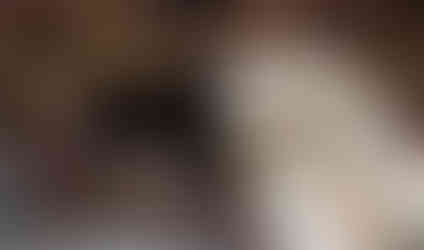 Mitsue Shrine, mitsue-mura, mitsue village, things to do in mitsue-mura village