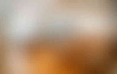 kito forest, wood, workshop