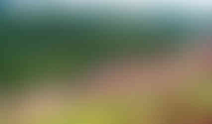 Hirohashi Plum Grove, Hirohashi bairin, shimoichi