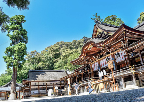 Omiwa jinja Shrine, Yamanobe-no-Michi, Japan's oldest road, hiking, Nara top tourist attractions, Things to do and see in Nara Japan, things to do around Nara Japan, things to do at Nara park, things to do in Nara for the first time, things to do in Nara in 1 day, things to do in Nara Japan guide, where is Nara Japan, Nara city in Japan, Nara backpackers, Nara hotels, how long to spend in Nara, Nara in Japan, Nara  location, Nara Nara Japan, Nara map, best hotels in Nara, Nara Japan attractions, Nara Japan things to do, things to do in Nara winter, things to do in Nara with kids, things to do Nara Japan, top 10 tourist attractions in Nara Japan, top attractions in Nara Japan, top best things to see in Nara Japan, top ten things to do in Nara Japan, top things to see in Nara Japan, top tourist attractions in Nara Japan, tourism Nara Japan, tourist attractions in Nara Japan, travel to Nara Japan, unique things to do in Nara Japan, Nara tourism office, Nara city tourism, Nara Japan travel info, Nara Japan tourism, Nara Japan travel