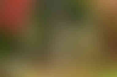 Takatori castle ruins