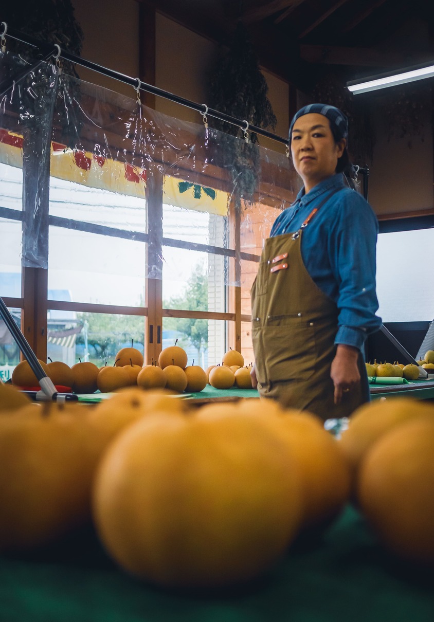 Pear Hunting, Hakusui-en Orchard, Oyodo Town, Nara top tourist attractions, Take a jinrikisha rickshaw ride in Nara City, things to do and see in Nara Japan, things to do around Nara Japan, things to do at Nara park, things to do in Nara for the first time, things to do in Nara in 1 day, things to do in Nara Japan guide, where is Nara Japan, Nara city in Japan, Nara backpackers, Nara hotels, how long to spend in Nara, Nara in Japan, Nara  location, Nara Nara Japan, Nara map, best hotels in Nara, Nara Japan attractions, Nara Japan things to do, things to do in Nara winter, things to do in Nara with kids, things to do Nara Japan, top 10 tourist attractions in Nara Japan, top attractions in Nara Japan, top best things to see in Nara Japan, top ten things to do in Nara Japan, top things to see in Nara Japan, top tourist attractions in Nara Japan, tourism Nara Japan, tourist attractions in Nara Japan, travel to Nara Japan, unique things to do in Nara Japan, Nara tourism office, Nara city tourism, Nara Japan travel info, Nara Japan tourism, Nara Japan travel, 