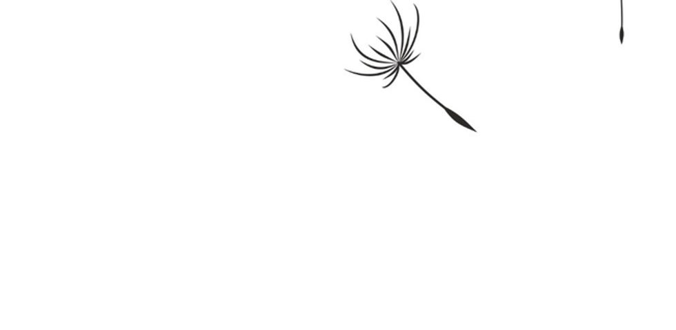 Wish graphic logo