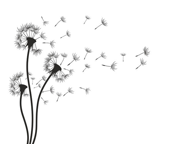 Wish graphic logo