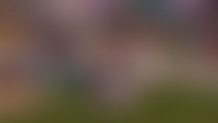 Story of Seasons: A Wonderful Life