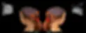 mri.webp