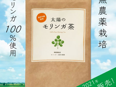 太陽のモリンガ茶 店頭販売開始を開始いたしました