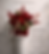external-file_edited.png
