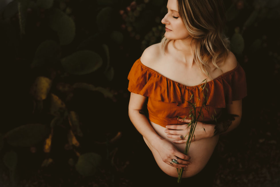 Napa Maternity Photographer