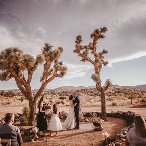 Intimate Joshua Tree Wedding | Suzanne + Eddy