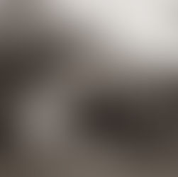 It's Spooky Season! |  Portrait Photography in the Napa Valley