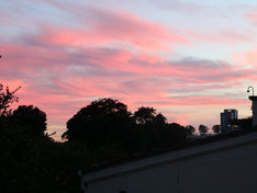 Our Campus, Our Responsibility