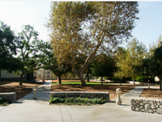 Student Passes Away in Dorm Tuesday Morning