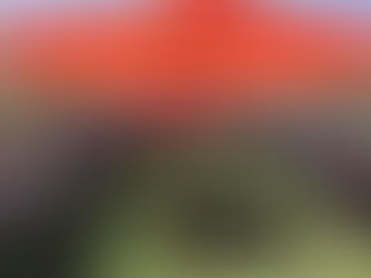 Fall Hiring is Too Early