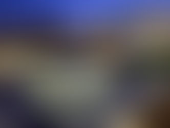 Introducing the 2019-2020 Editorial Board!