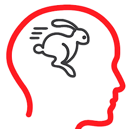 sistema1-e-2 transparent rabbit (1).png