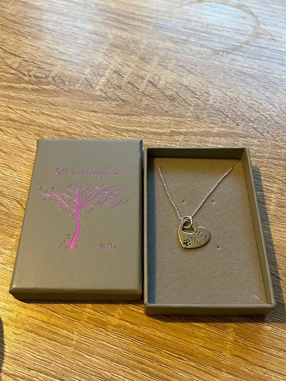 Thumbnail: Dog Best Friend Heart Necklace 925 Sterling Silver in gift box