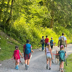 Cani-randonnée, camp huskies