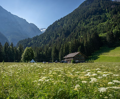alp'huskies_cp-regiondentsdumidi_-10.jpg