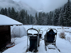 ❄️🐾 Conditions météo & sécurité de nos activités