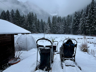 ❄️🐾 Conditions météo & sécurité de nos activités