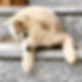 HCTY5261.JPG