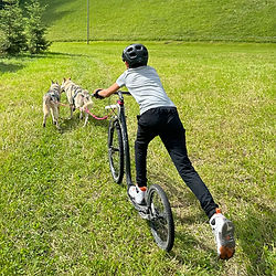 Enfant en cani-trottinette, camp huskies