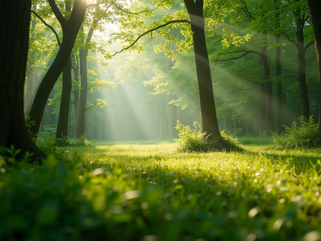 The Importance of Sustainable Living in Today's World