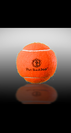 DotBall360° Replacement Balls (3 pack)