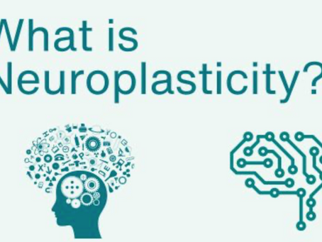 neuroplasticity during exam season