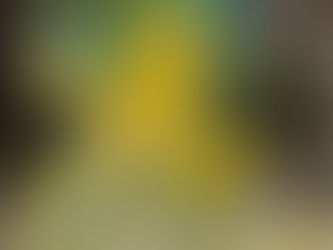 Hand reaching in to catch you