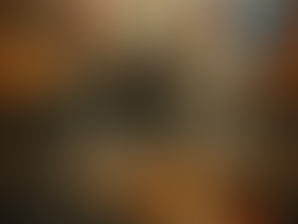 Trump está dando um golpe nos EUA