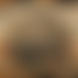 Banco Master: quando uma crise financeira vira arma política