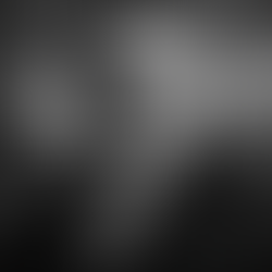 Se Lula cair, vocês caem junto. 