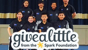 National New Zealand Wushu Team Givealittle small.jpg