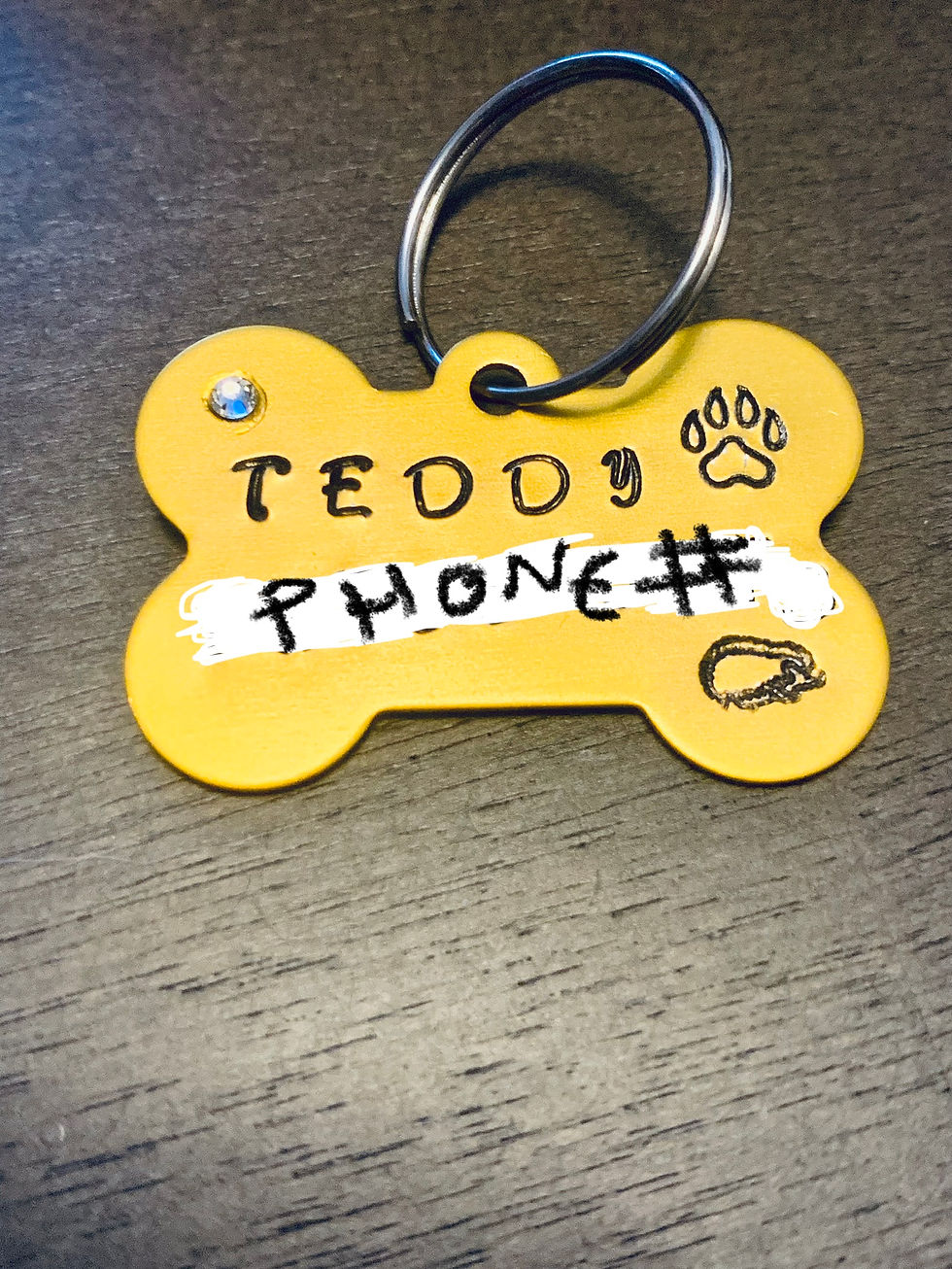 Thumbnail: Personalized Dog Tags