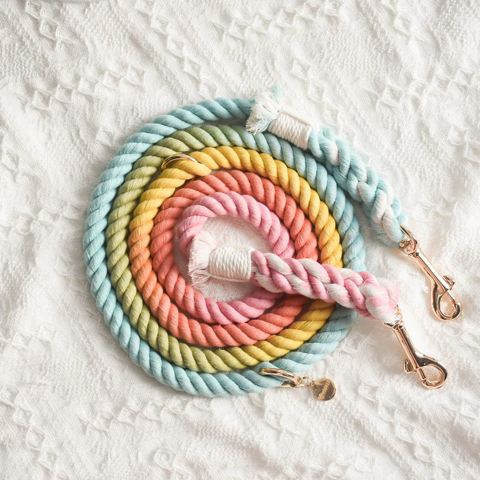 Miniatura: ROPE LEASH - SWEET LOLLIE