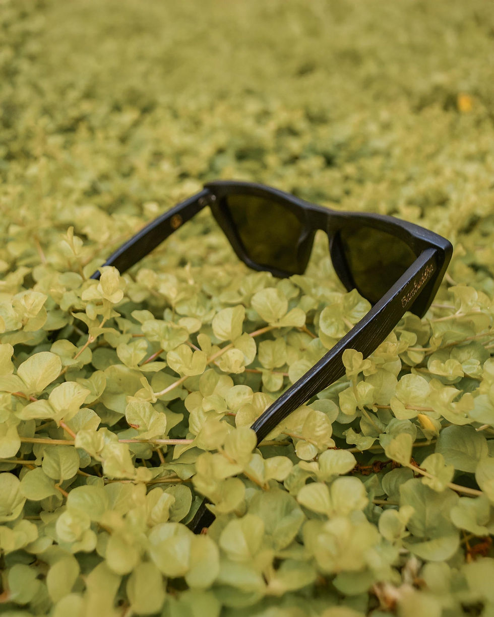 Миниатюра: Vintagío | Polarized Bamboo Sunglasses