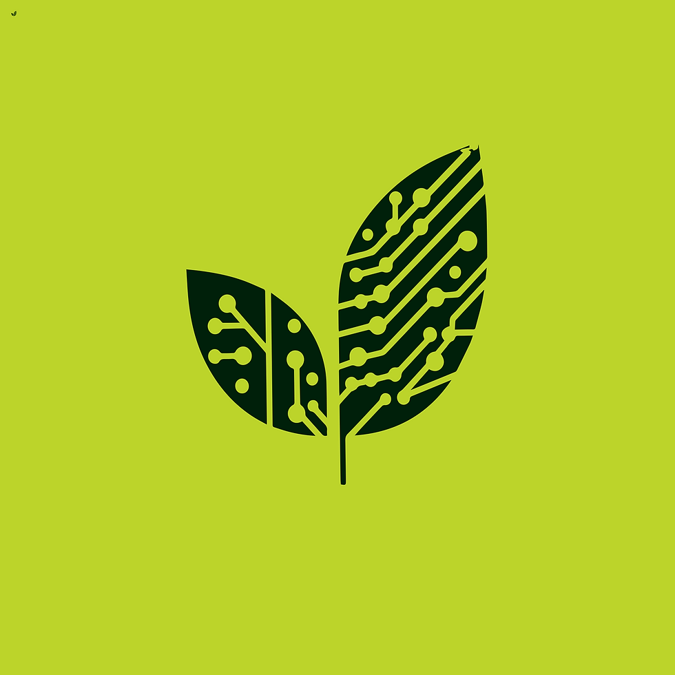 Instagram post - 2.png