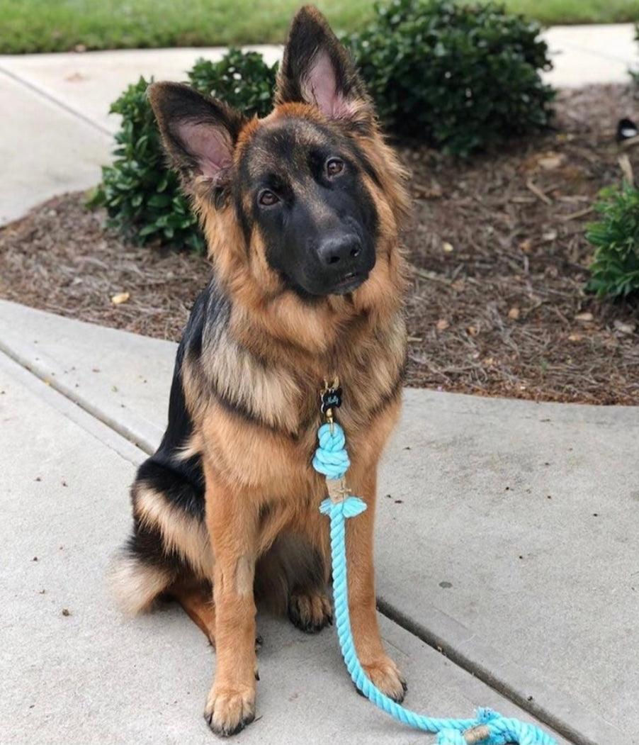 Miniature : ROPE LEASH - SPRINKLES