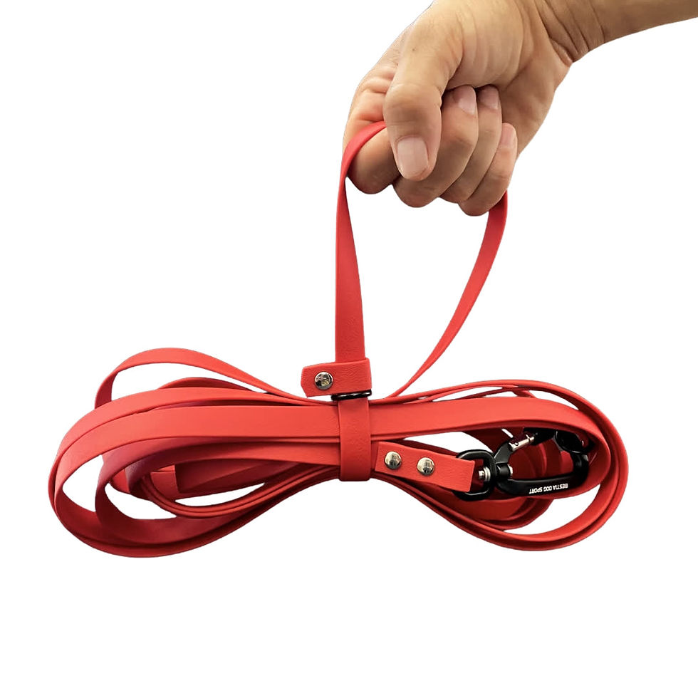 Miniatura: Bestia Dog Sport Multifunctional Drag Leash