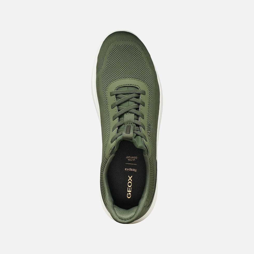 Miniature : SPHERICA PLUS Vert homme
