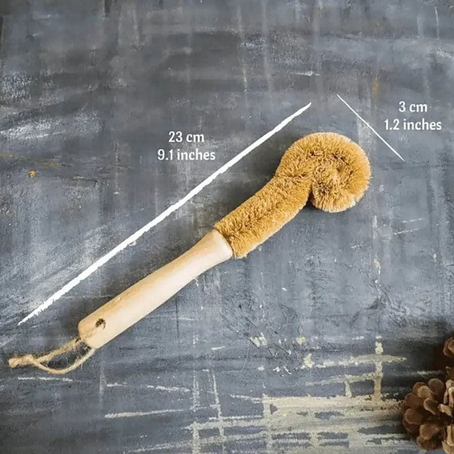 Miniatura: Coconut Bottle Brush