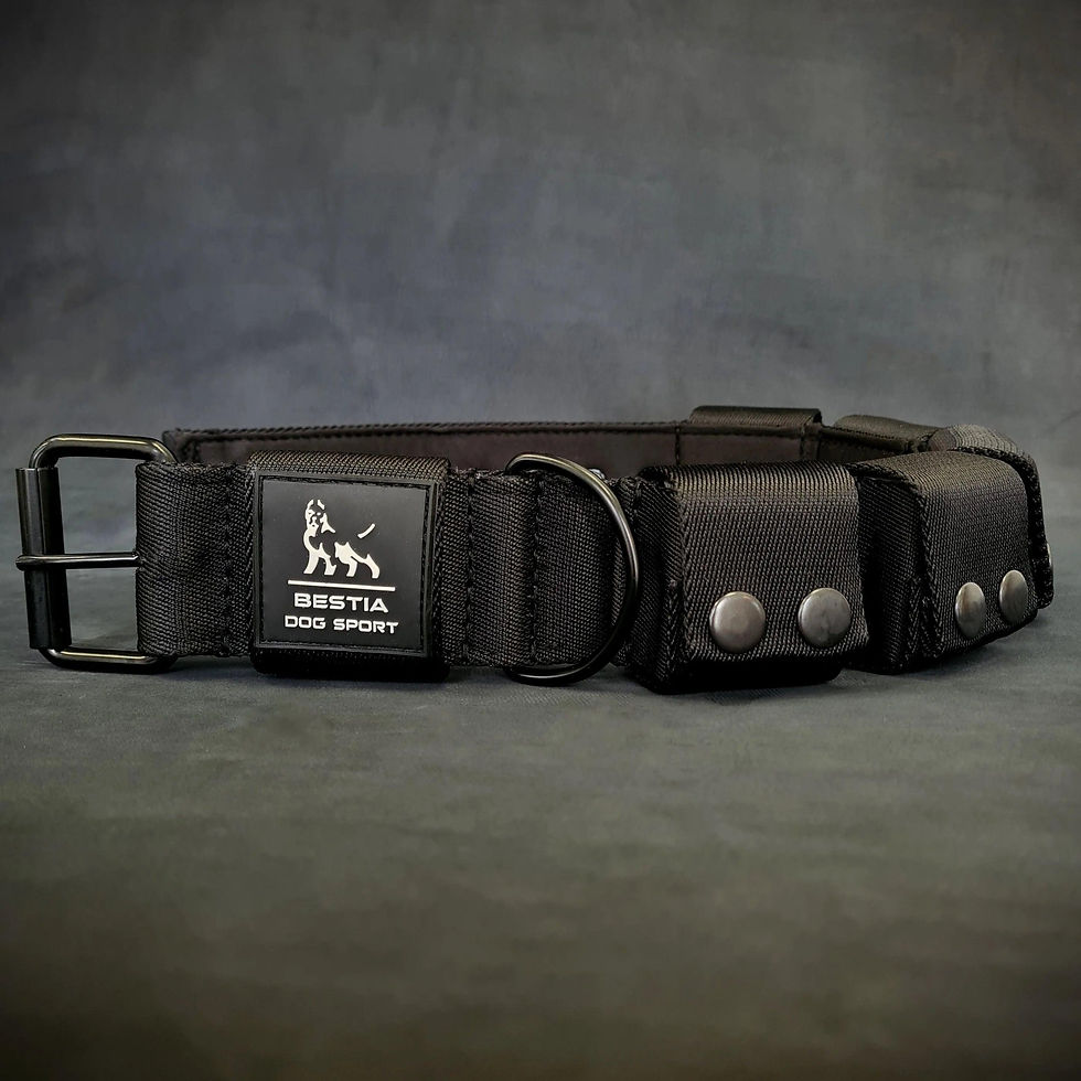 Thumbnail: Weighted dog training collar. Large breeds. 5 lbs total. removable weights