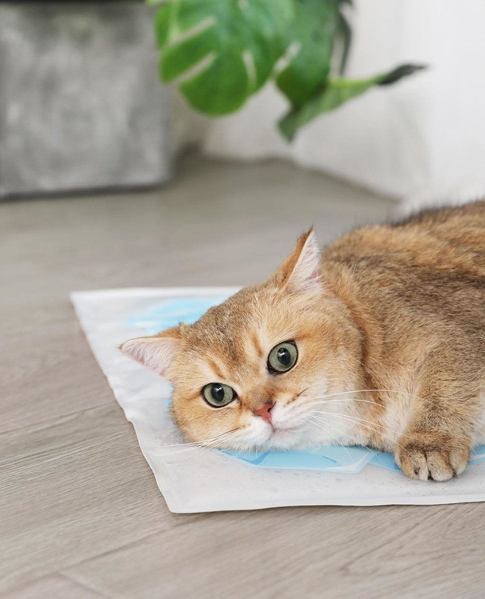 Thumbnail: Summer Cooling Pet Ice Mat